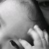 wilda33438