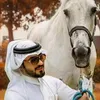 user81123883874263