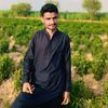 murshi391