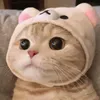 inging_194628