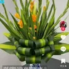 user4615866069582