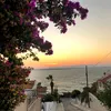 toleenkhaled230