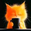 gatita.512