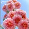md.mohin0580