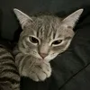 .alexfilmss