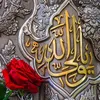 mohamedbaker114