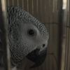 ⱮᎯᏒIᎯᗰ 👩🏻‍🎤🦜