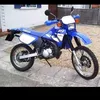 hamzalhor6
