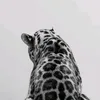 bimba_dei_dieffe