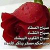 user91197787478315