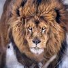 youssazrzrb