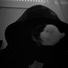 wdg_.jay