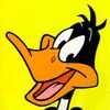 rob_ar_