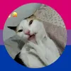 sarinha_queen1220