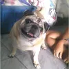 user6137658782514