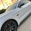 5.0iggy