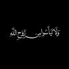 user5142224354294