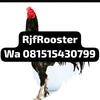 Rjf Rooster