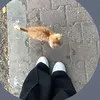 _tc._0