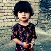 haseebtanha7