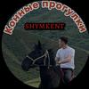 konny_pragulky_shymkent