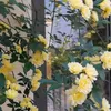 mynewlife_0102