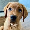 mathewithbuddy