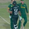 all.cricket31