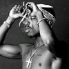 2_pac_rapp