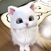 yyy_u1124