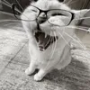eeeeeeee_eee2