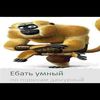 altushki_top0
