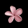 fatima_hdjm