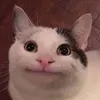 kisingleb