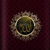 gulzar.ahmad3414