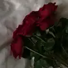 adel.fatma08