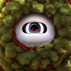 treeringvideos