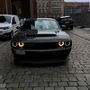 darktrapwr