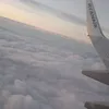 el.la2117