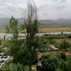 barzini3