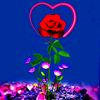 user1981574023386