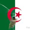 mohamed.bachir68