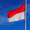 kakputra08