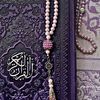habibabadry09