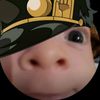 th_quib