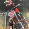 222_tristan