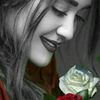 user81886257101363