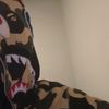 princessleah354