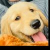 doug_t_dog