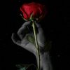 user4125812333367